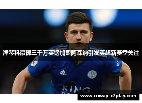 津琴科豪掷三千万英镑加盟阿森纳引发英超新赛季关注